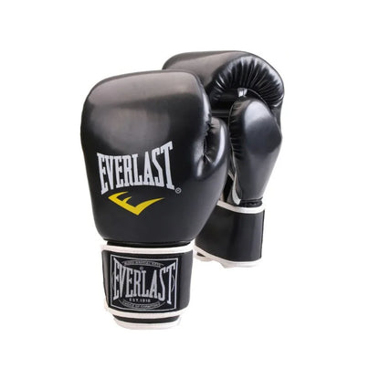 Boxing Gloves Everlast